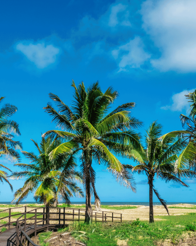 aracaju (4)