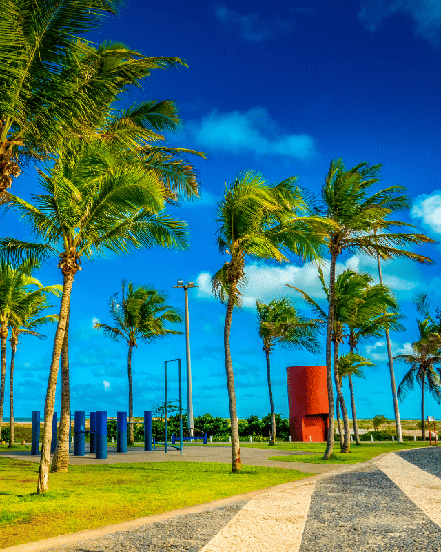 aracaju