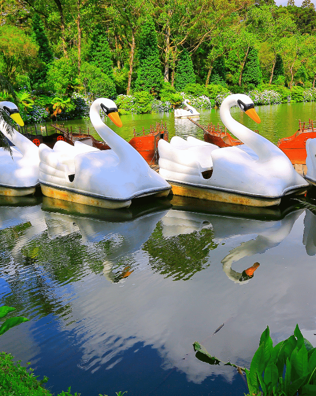 gramado (6)